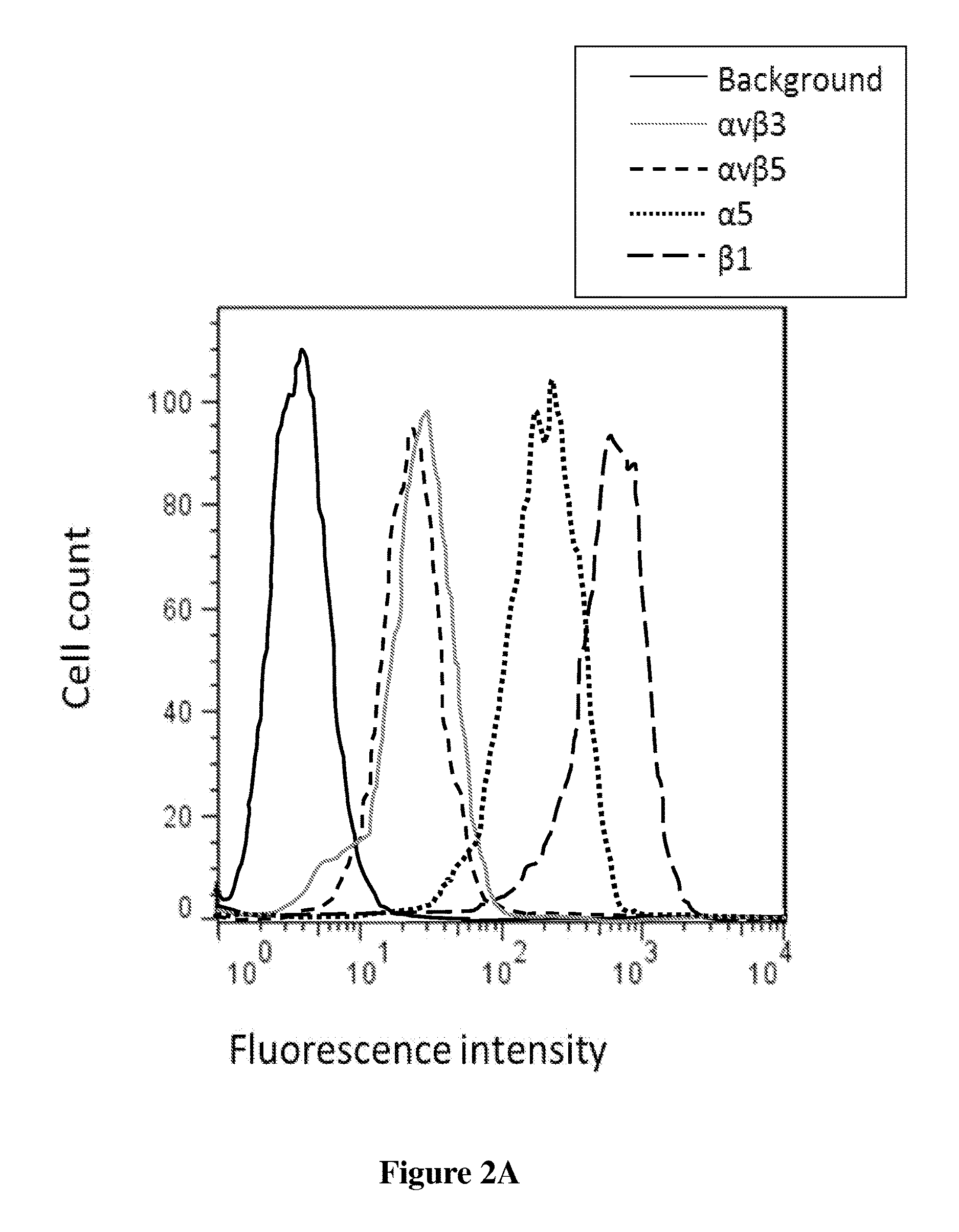 Conjugated knottin mini-proteins containing non-natural amino acids