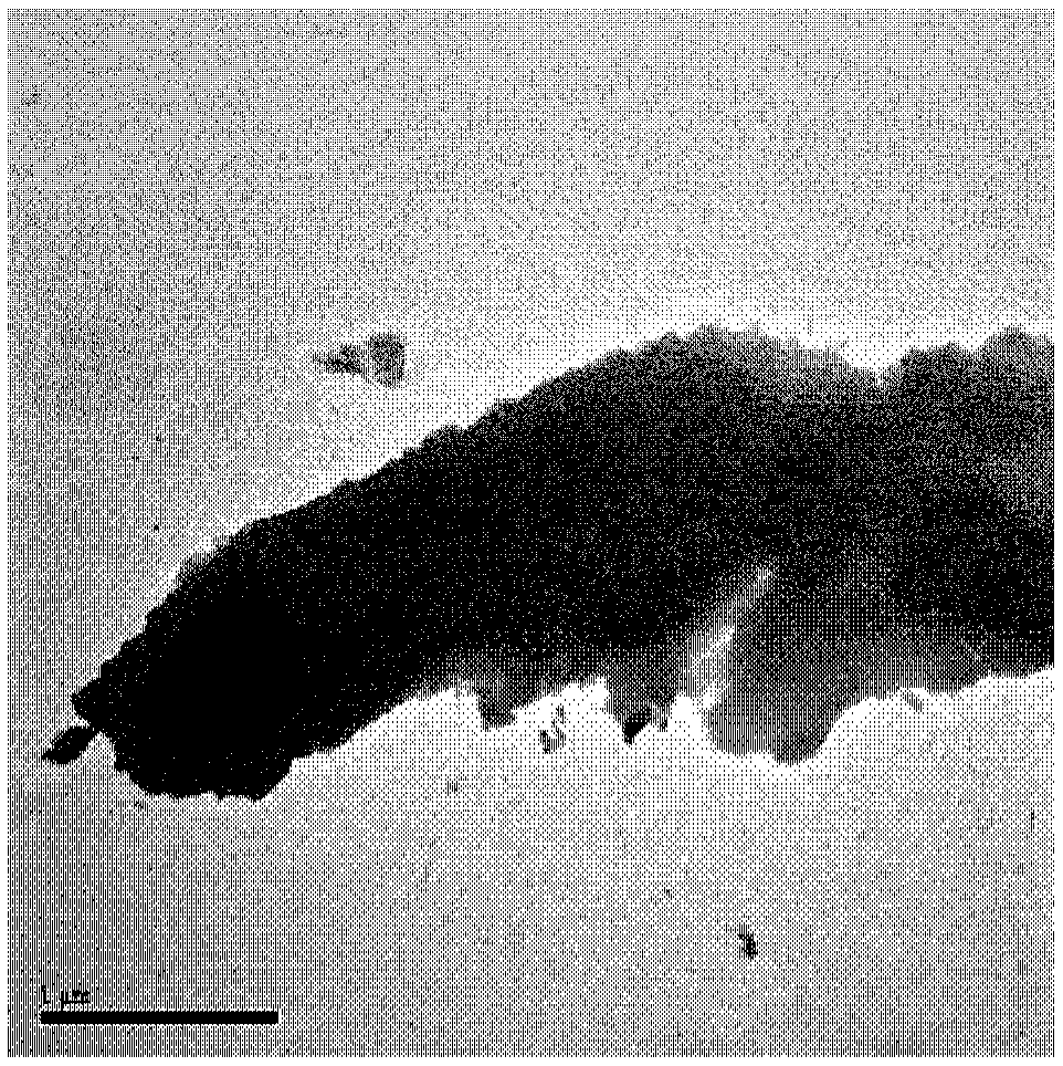 Three-dimensional graphene-based heterogeneous Fenton catalyst, and preparation method and application thereof