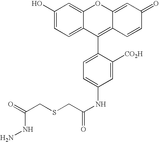 Methods and compositions for peptide and protein labeling