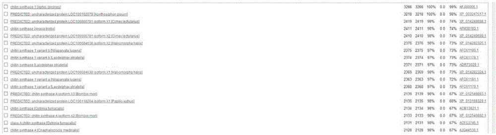 Toxoptera citricida chitin synthase gene and dsRNA thereof