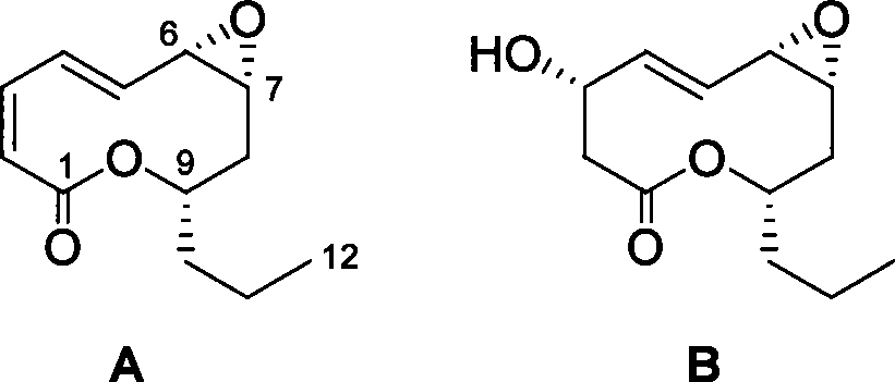 Phomopsis rhzomorph compound and its preparation method and application