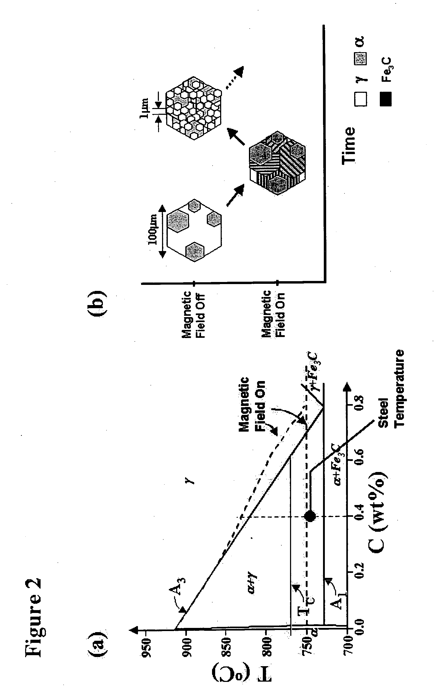 Grain refinement of alloys using magnetic field processing