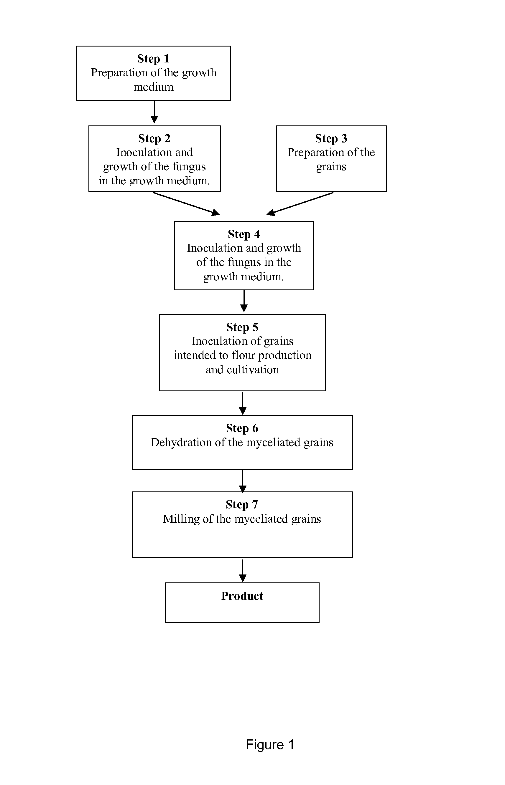 Flours produced from fungus myceliated grain