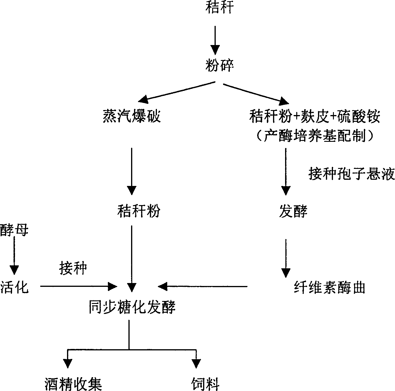 Method for producing alcohol by solid fermentation of stalks