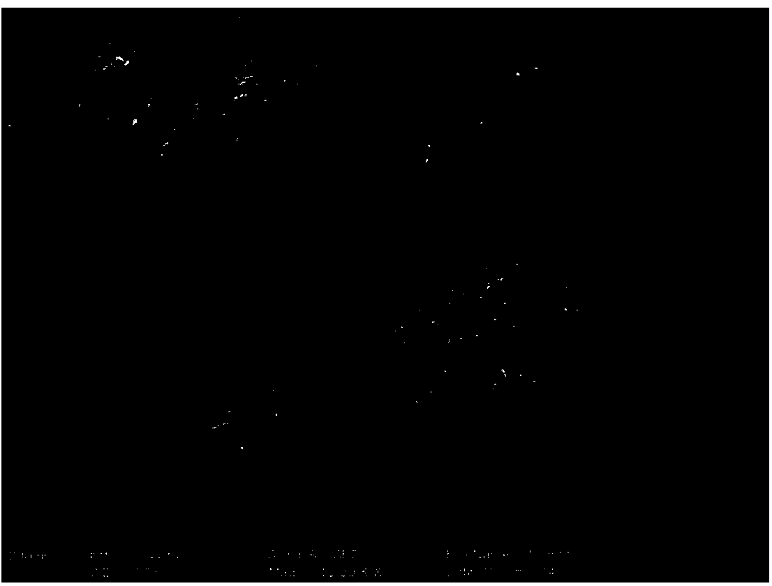 Composite catalyst and preparation method of composite catalyst as well as application of composite catalyst