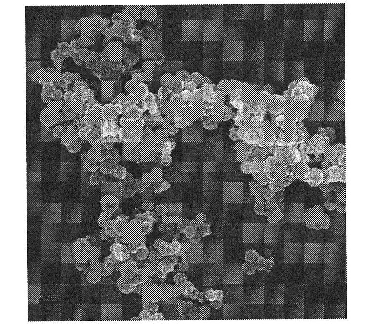 Preparation method of cerium oxide nanoballs