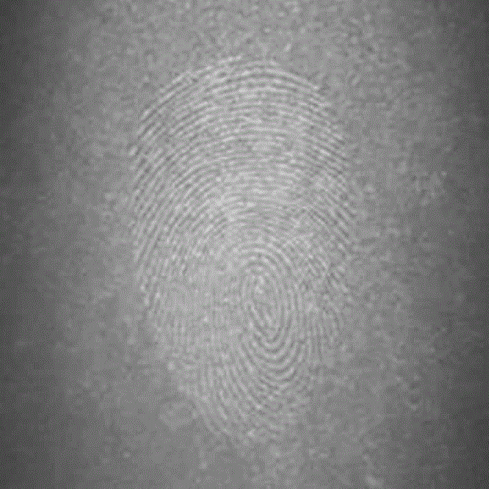 Latent fingerprint displaying method