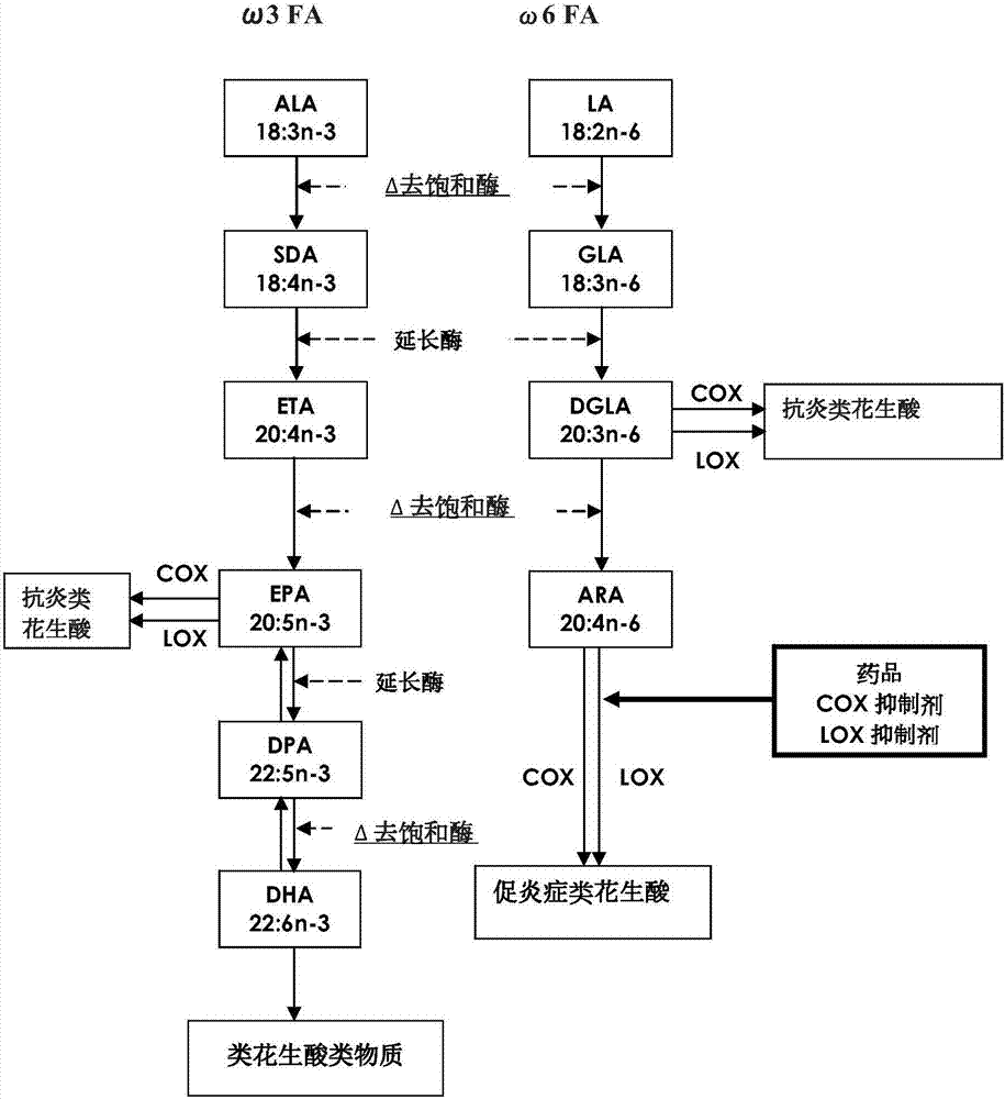 Optimized nutrient fatty acid composition