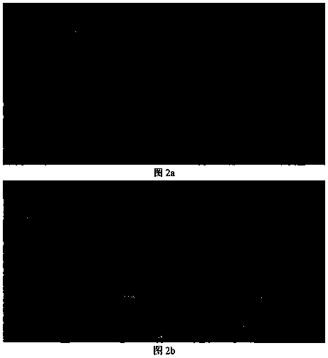 Heterogeneous image block matching method based on image conversion