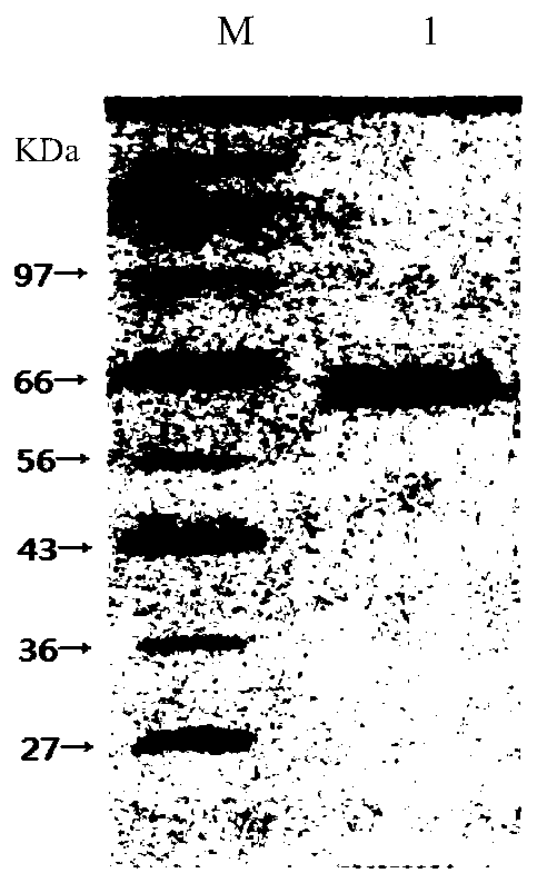 Method for degrading lignin in tobacco stems