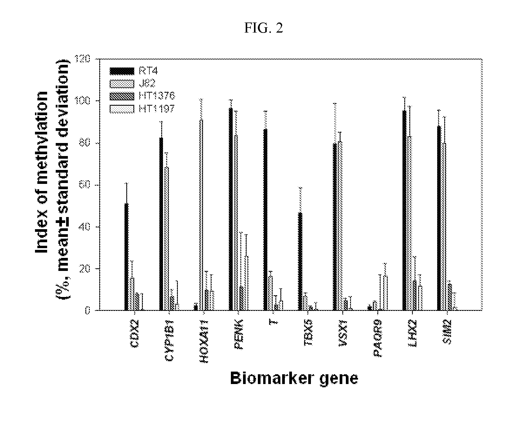 Diagnosis kit and chip for bladder cancer using bladder cancer specific methylation marker gene