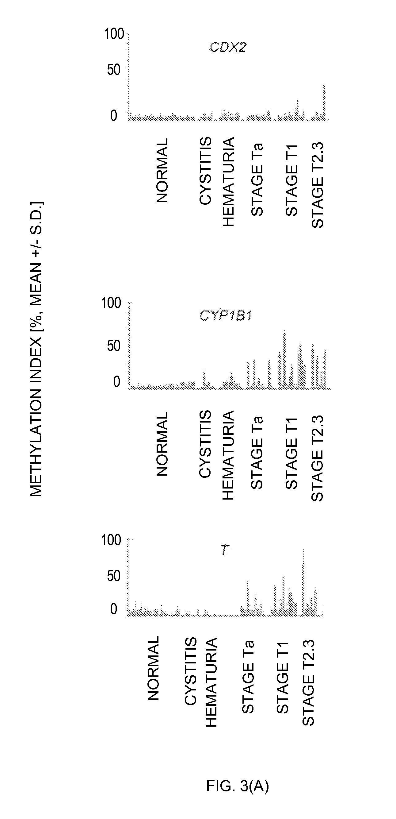 Diagnosis kit and chip for bladder cancer using bladder cancer specific methylation marker gene