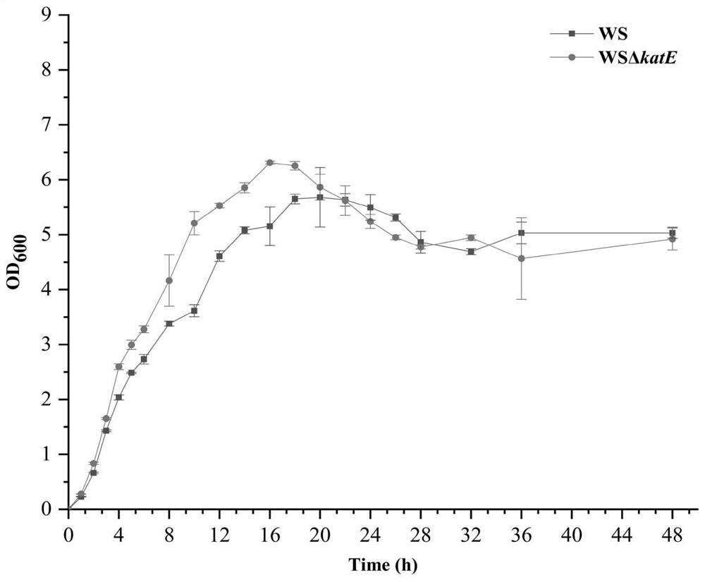 Gene-deleted Aeromonas intermedius