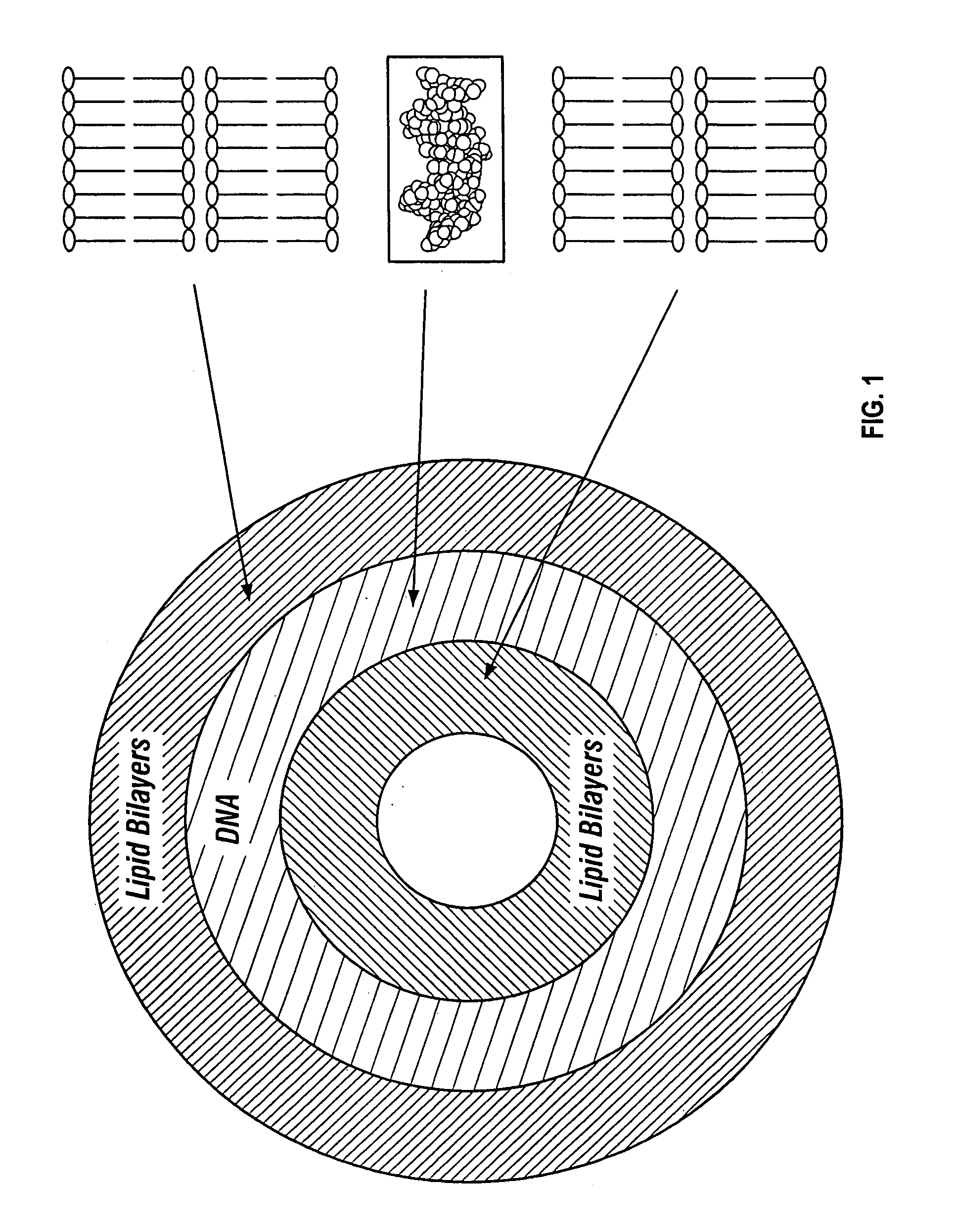 Reversible masking of liposomal complexes for targeted delivery