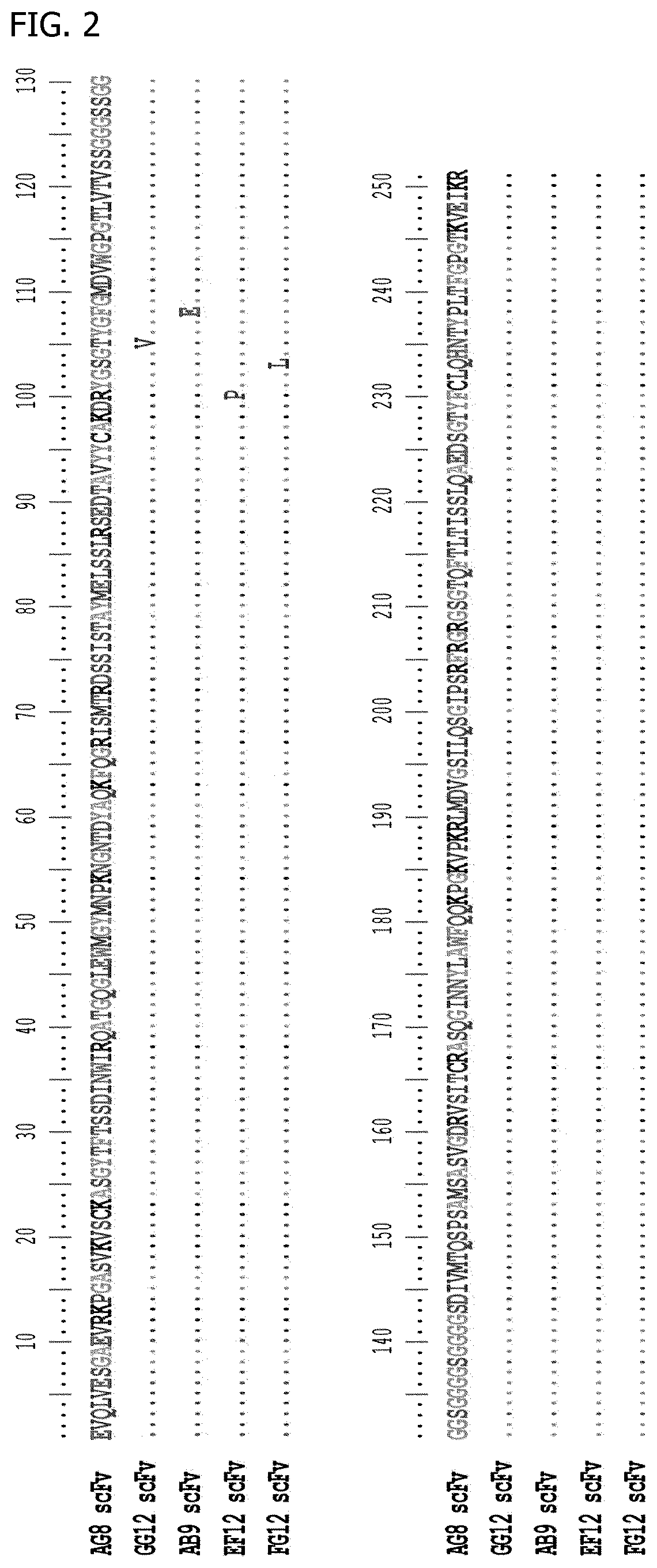 Endothelin receptor type a activity regulating antibody