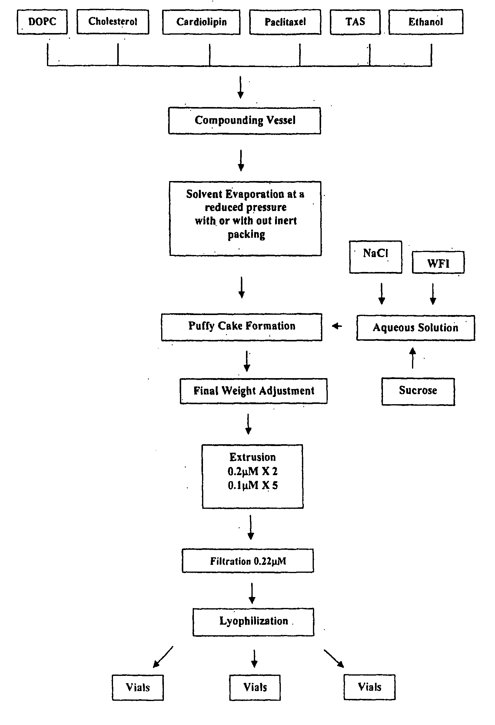 Manufacturing process for liposomal preparations