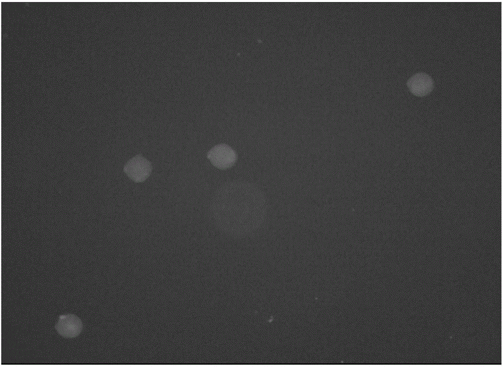 Droplet capture chip and microfluidic chip