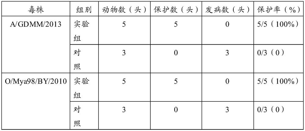 Porcine foot-and-mouth disease virus type O, type A fc polypeptide bivalent vaccine and its preparation method and application