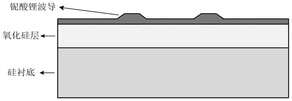 Thin-film lithium niobate-based integrated chip and preparation method thereof