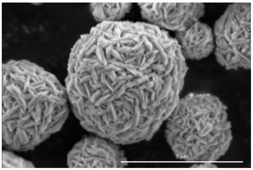 MOF-coated single crystal ternary positive electrode material and preparation method of precursor of MOF-coated single crystal ternary positive electrode material