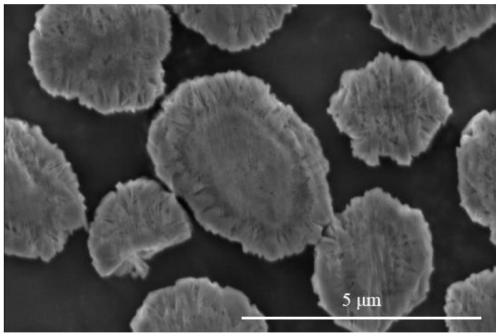 MOF-coated single crystal ternary positive electrode material and preparation method of precursor of MOF-coated single crystal ternary positive electrode material