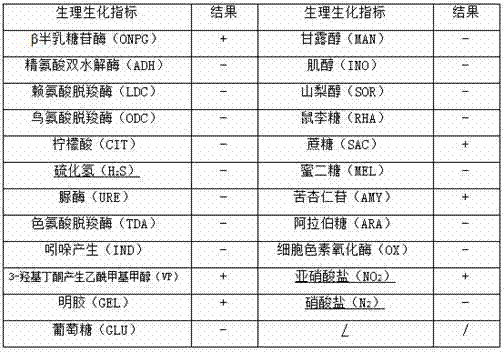 Bacillus velezensis as well as preparation method and application thereof