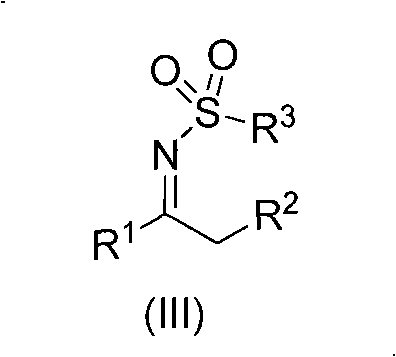 N-sulfuryl ketimine compounds and preparation method thereof