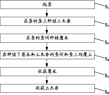 Three-dimensional planting method of pearl barley and elecampane