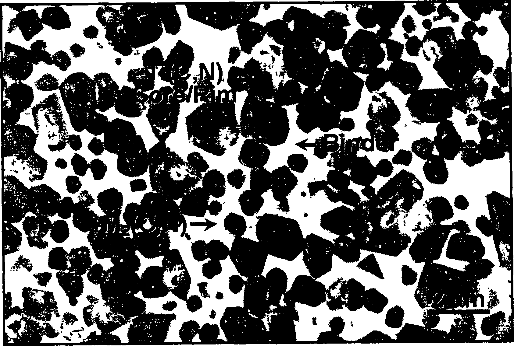 Advanced erosion-corrosion resistant boride cermets