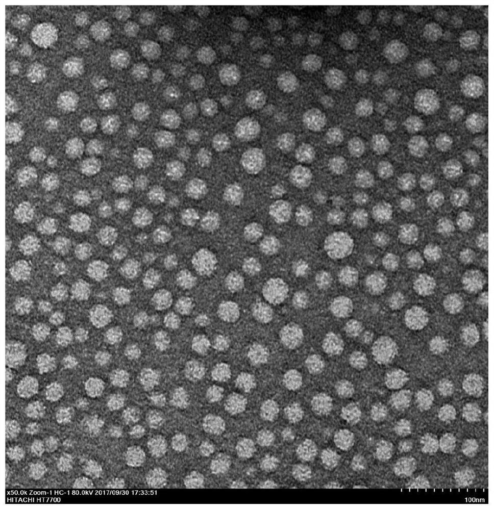 Amphiphilic targeting membrane-penetrating peptides and their self-assembled nanoprobes, drug-loaded nanoparticles