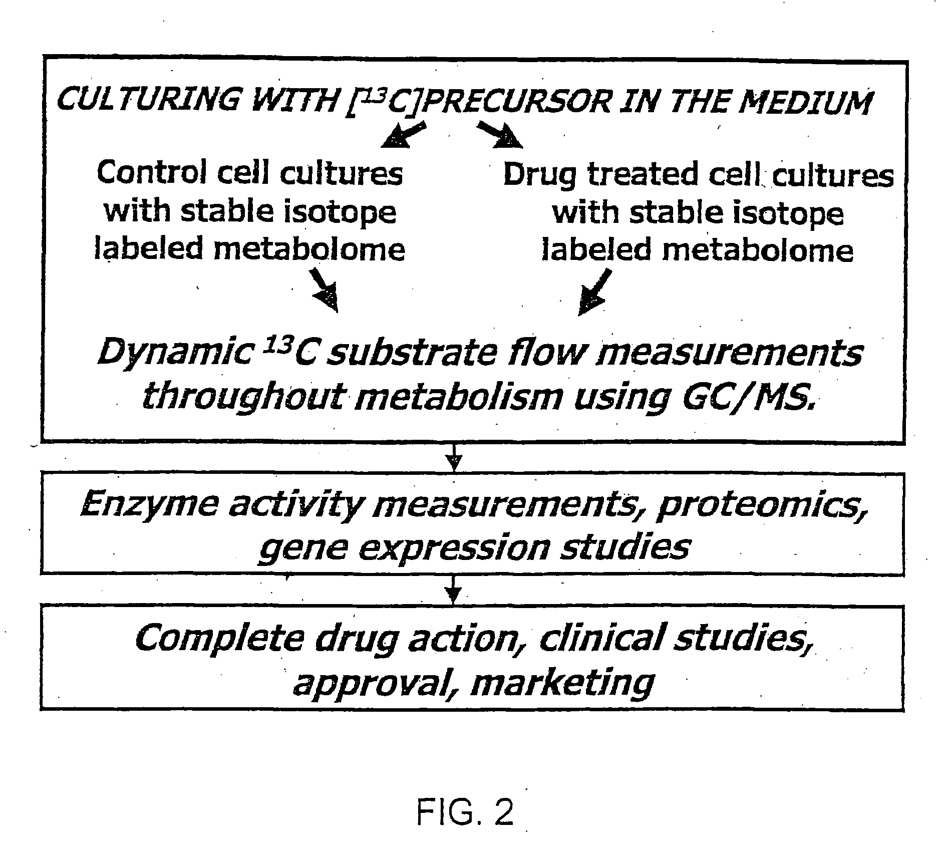 Stable isotope based dynamic metabolic profiling of living organisms for characterization of metabolic diseases, drug testing and drug development