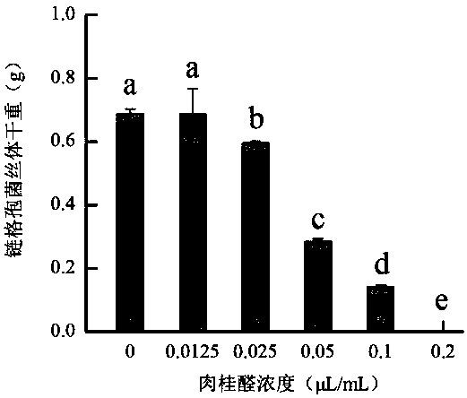 Method for inhibiting the growth of Alternaria alternata and the accumulation of mycotoxins in Alternaria alternata