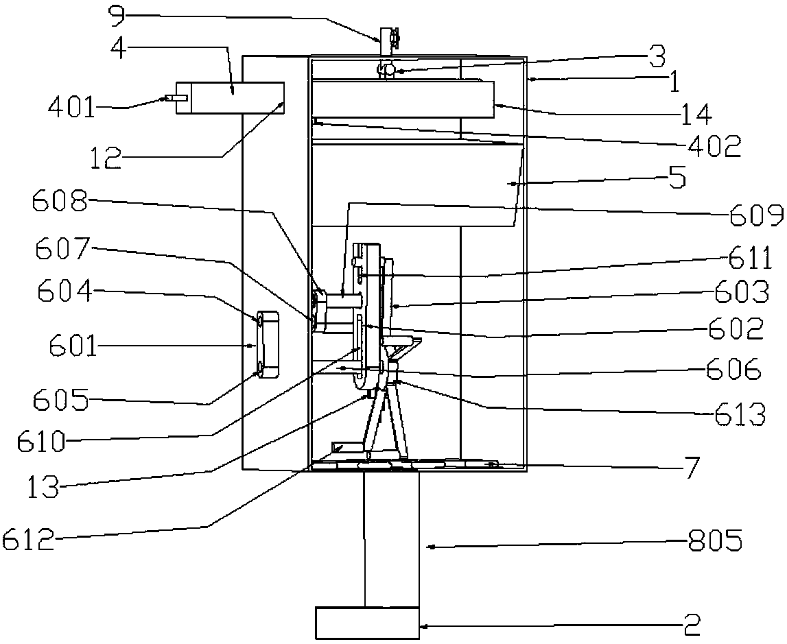 Drinking water device for pigs