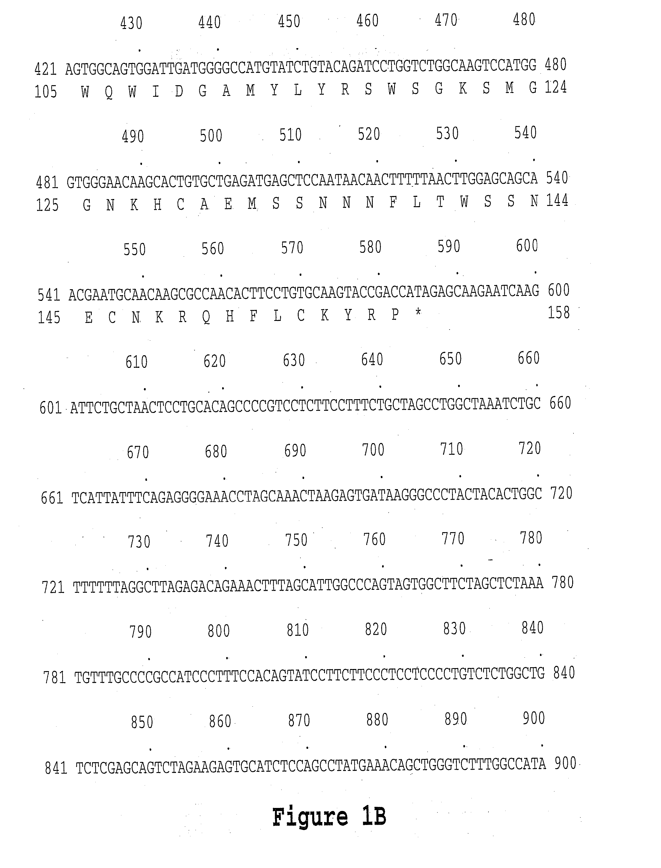 Colon Specific Gene and Protein and Cancer