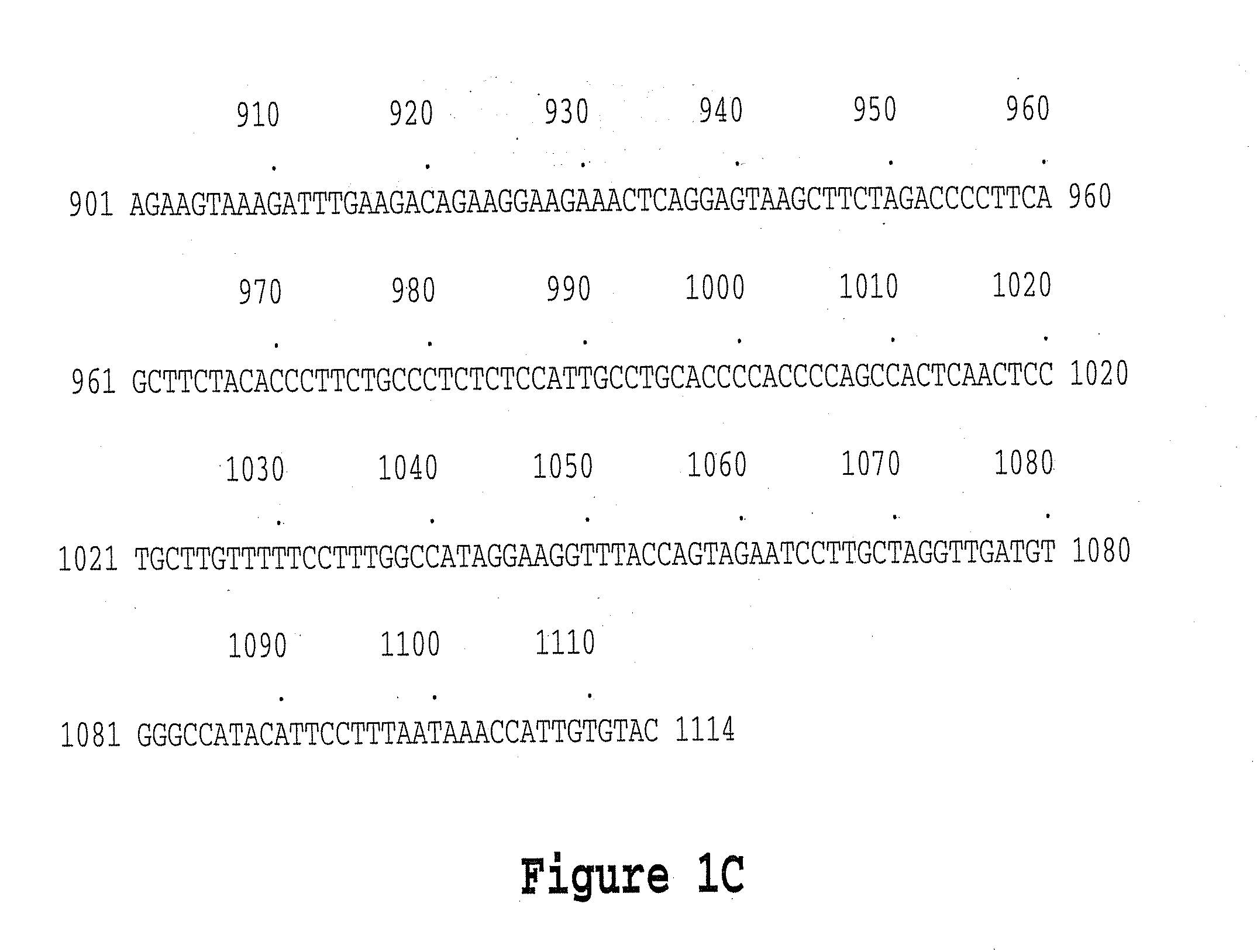 Colon Specific Gene and Protein and Cancer