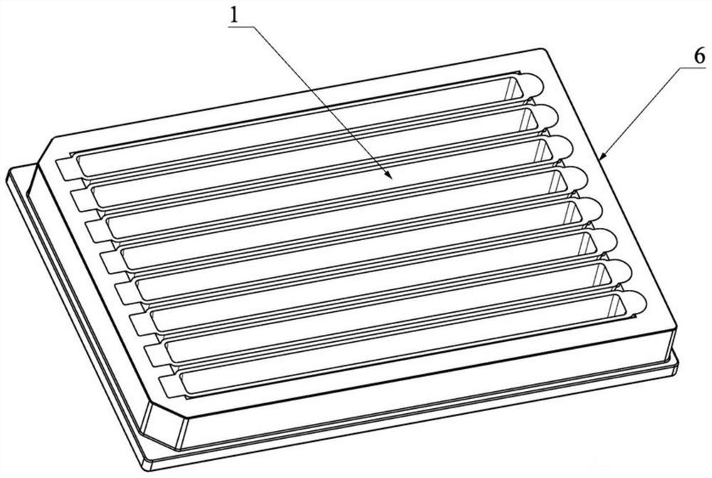 A fluorescent chip quantitative detection kit