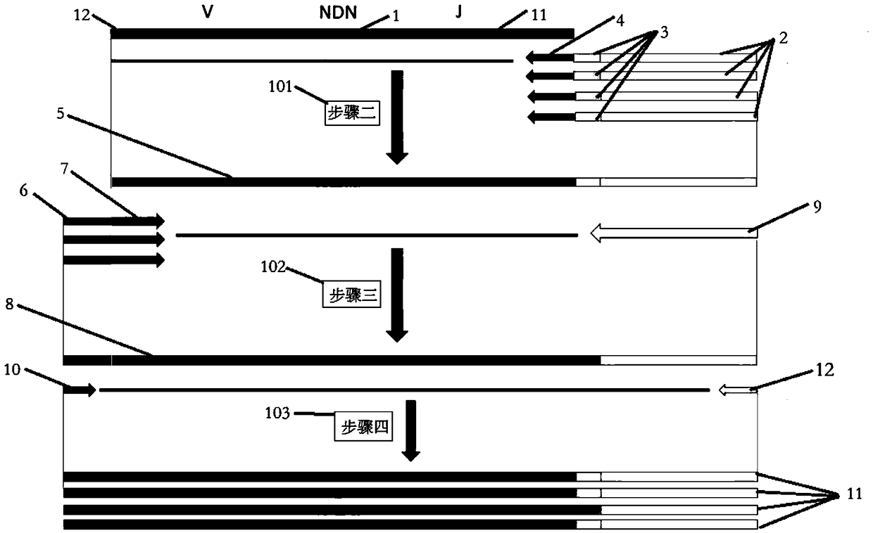 Variable region sequence library construction kit and sequencing method of variable region sequence