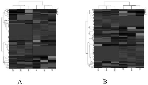 Hippocampal circRNA sequencing analysis for schizophrenia mouse model and kit