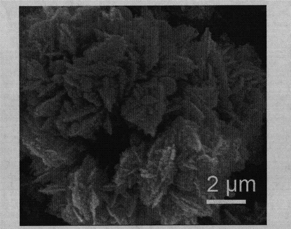 Cobalt-modified bismuth tungstate composite photocatalyst, its preparation method and application thereof