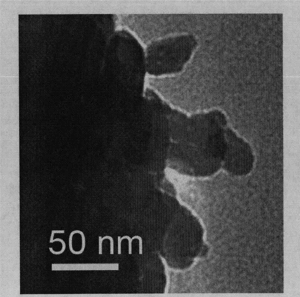 Cobalt-modified bismuth tungstate composite photocatalyst, its preparation method and application thereof