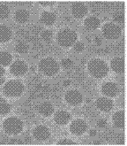 MiR-3OB (Micro-Ribonucleic Acid-30b) composite for targeting microglia as well as preparation method and application of composite