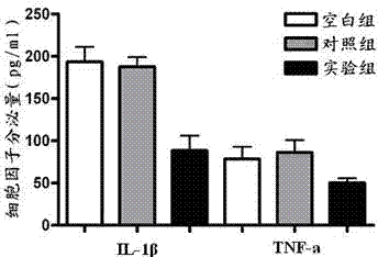 MiR-3OB (Micro-Ribonucleic Acid-30b) composite for targeting microglia as well as preparation method and application of composite