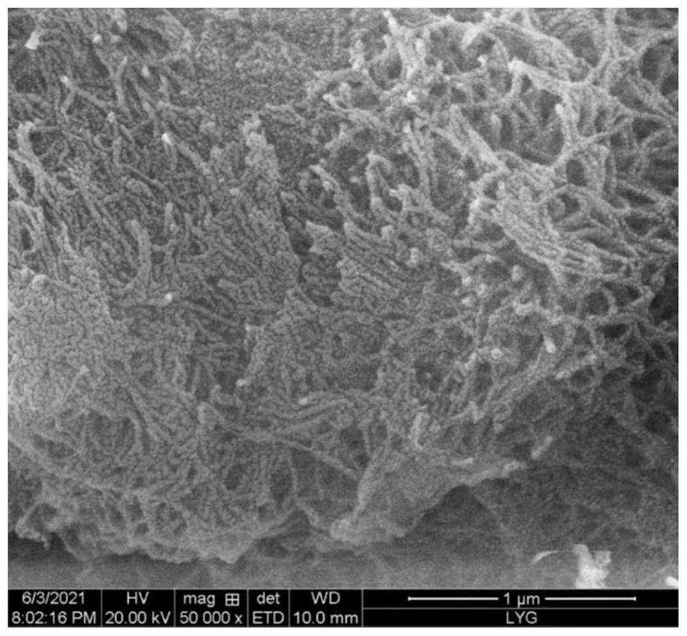 A kind of functional diaphragm and its preparation method and application