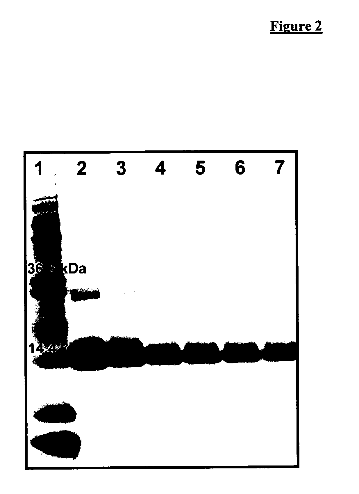 Extruded rod-shaped devices for controlled release of biological substances to humans and animals