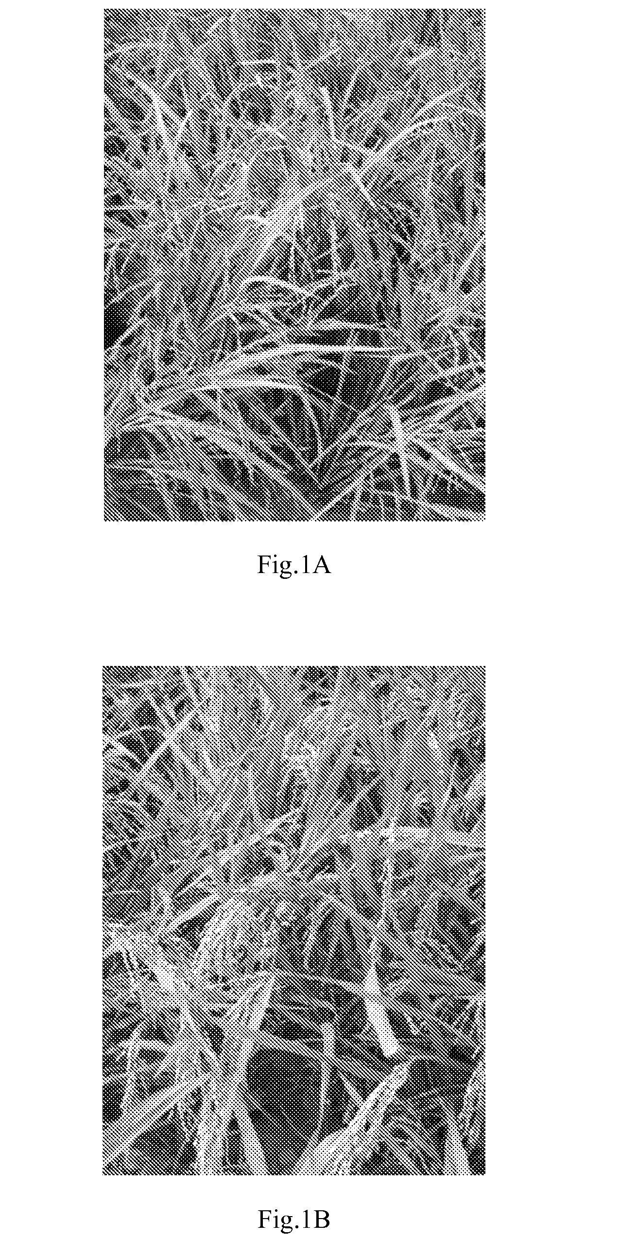 Noninvasive method of source-sink regulation in rice