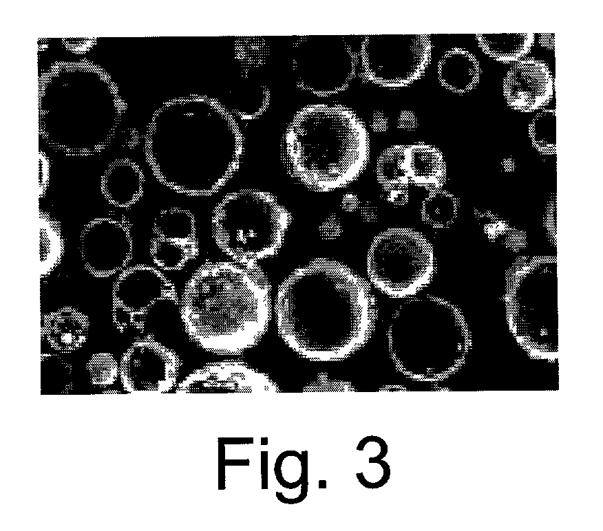 Method for the treatment of pozzolanic materials