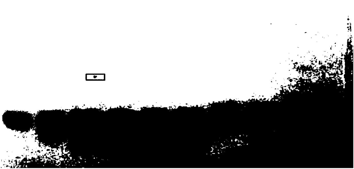 PEG binding number detection method of PEG modifier protein