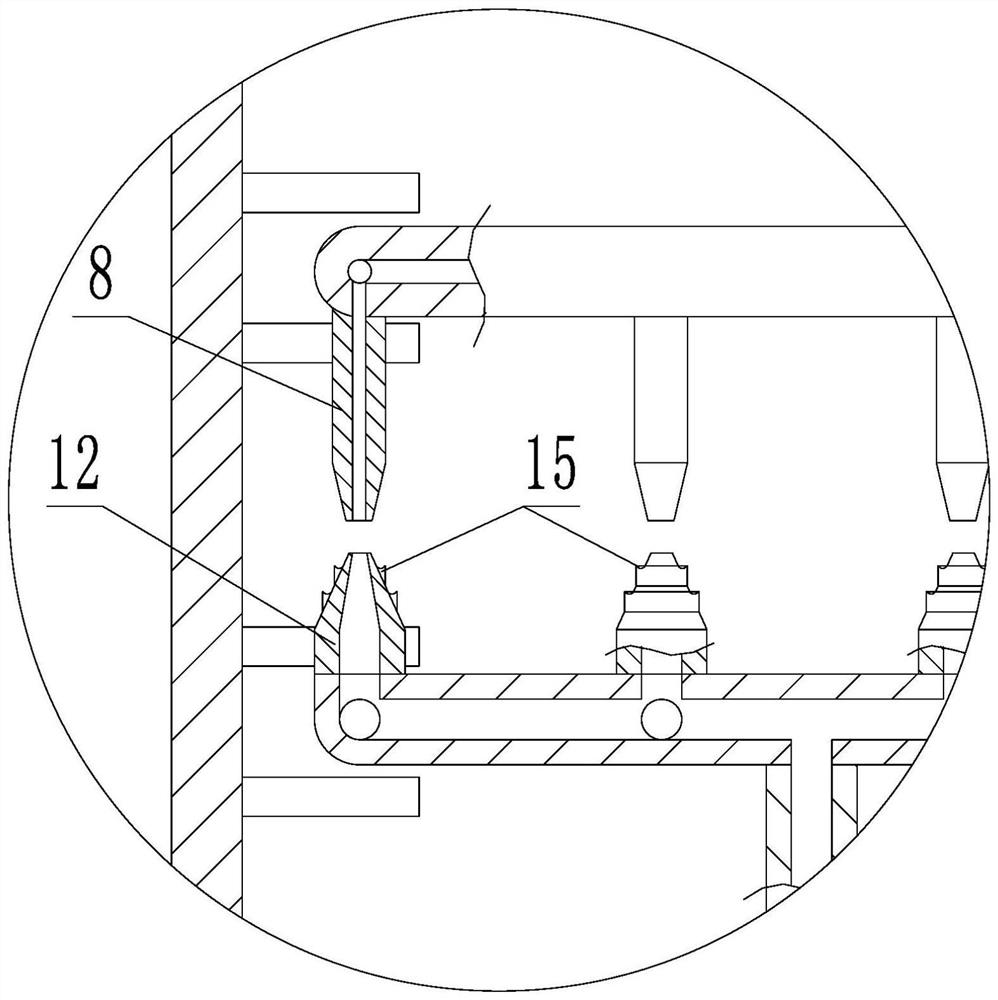 A kind of preparation method of fiber softening type betel nut prolonging shelf life