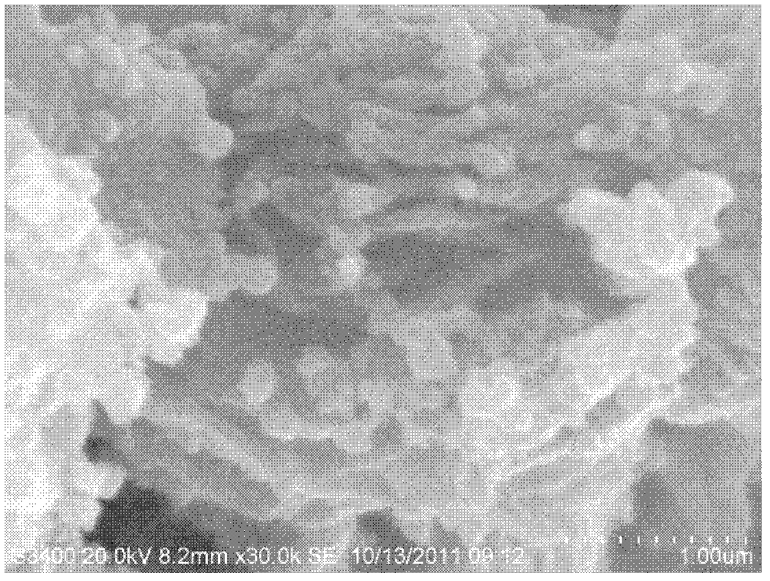 Preparation method of iron-coated graphene nanocomposite material