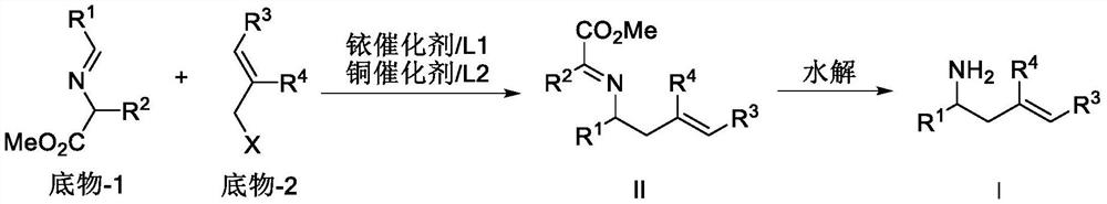 Copper/iridium synergistically catalyzed asymmetric allylation/2-aza-cope rearrangement and its application